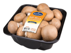 mushroom-pack07