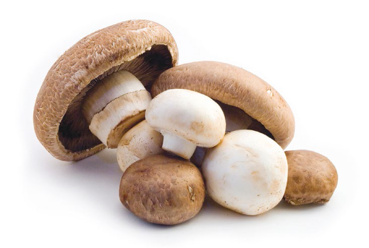 Mushroom-Nutrition-at-Glance_Page_1_Image_0002