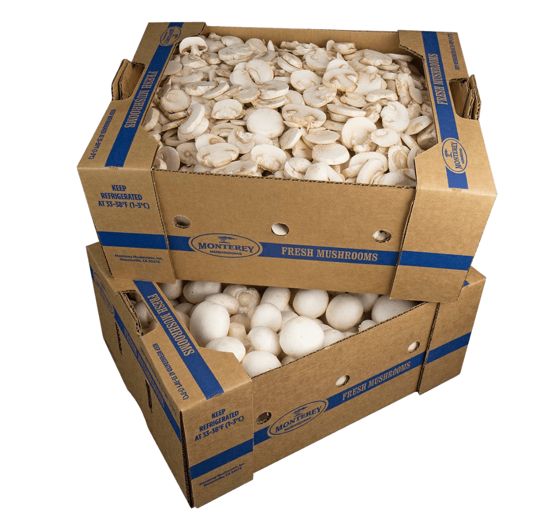 box white 1-1