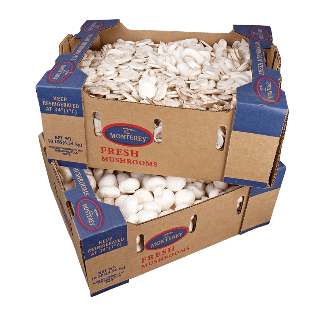 bulk white-1