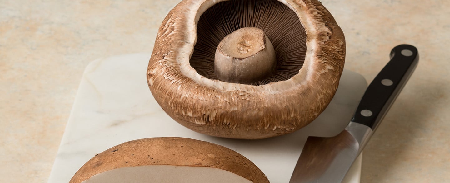 header-brown-mushrooms