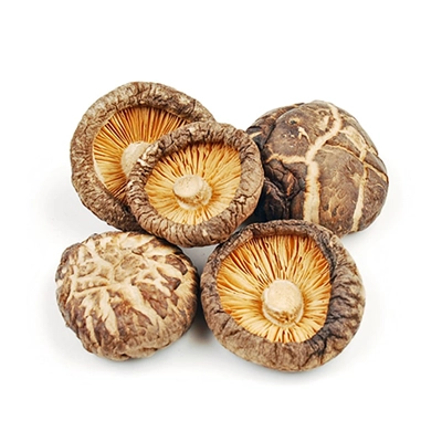 Image of Dried Mushroom