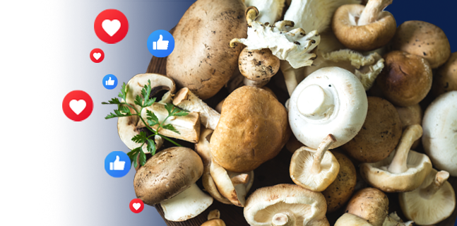 mm_events header image02