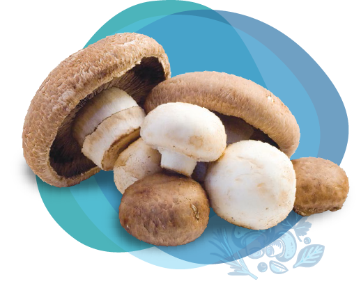 vitamin-d-mushroom-2