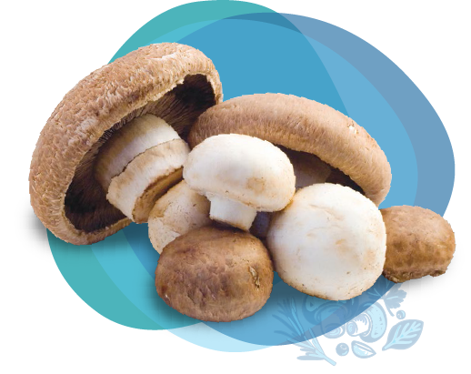 vitamin-d-mushroom-2